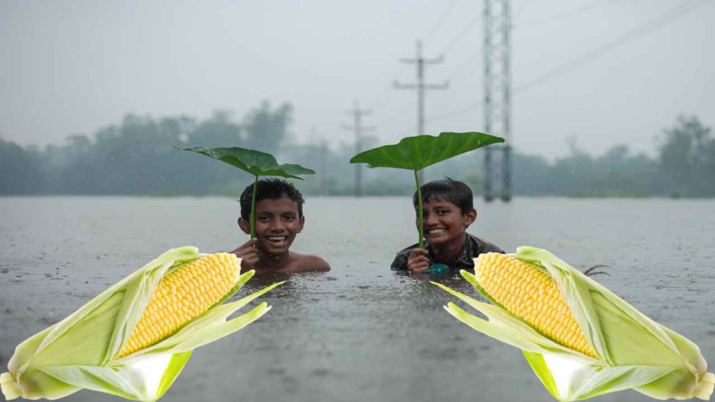 Monsoons
