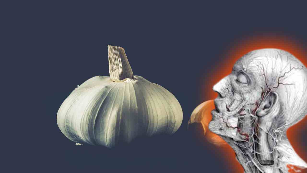 Garlic : పక్షవాతం ముప్పును తప్పించే వెల్లుల్లి! Garlic : పక్షవాతం ముప్పును తప్పించే వెల్లుల్లి!