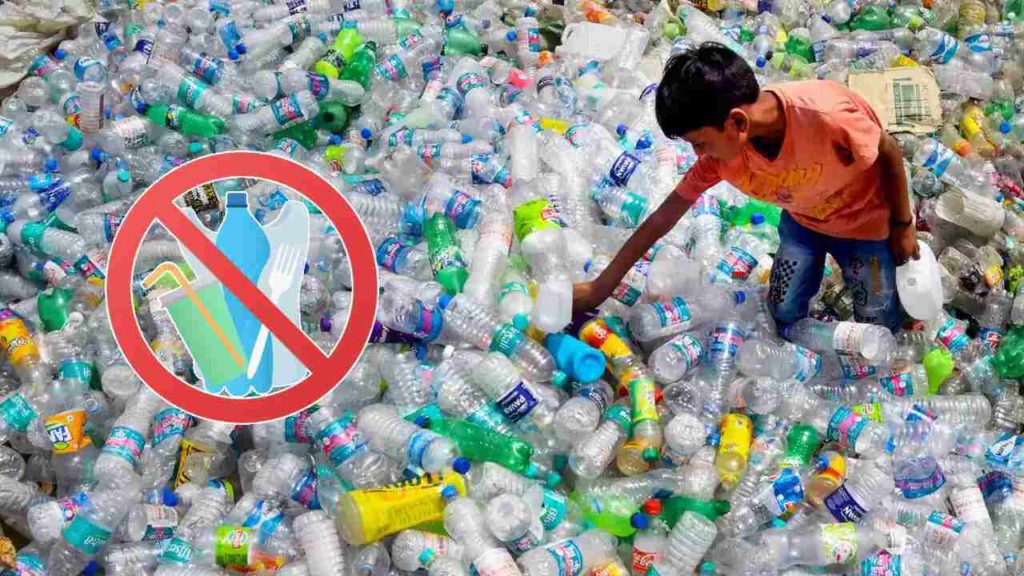 Plastic Use