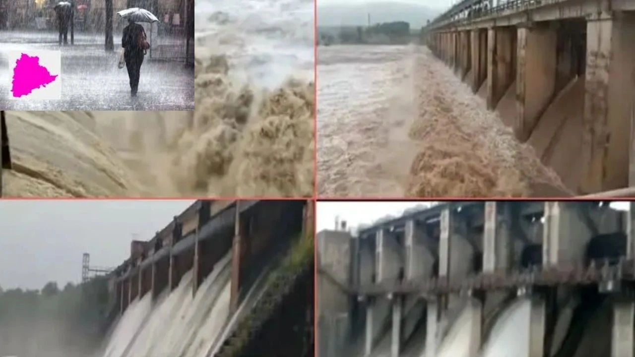 Telangana : భారీ వర్షాలకు నిండుకుండలా మారిన ప్రాజెక్టులు Telangana : భారీ వర్షాలకు నిండుకుండలా మారిన ప్రాజెక్టులు