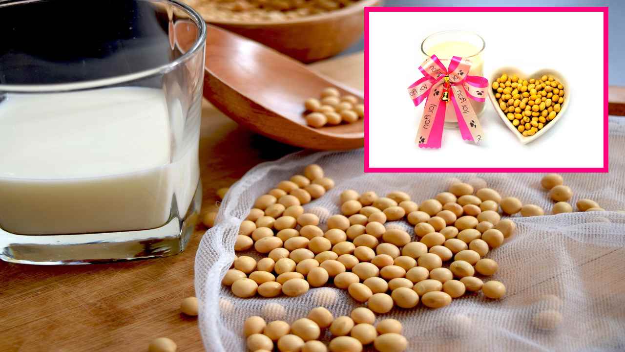 Soy Milk : పాల ఉత్పత్తుల కన్నా సోయా పాలు ఆరోగ్యకరమైనవా? Soy Milk : పాల ఉత్పత్తుల కన్నా సోయా పాలు ఆరోగ్యకరమైనవా?