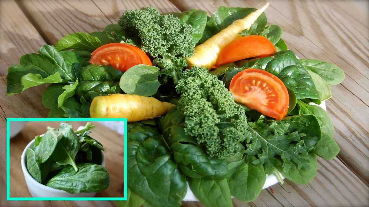 Spinach : మెదడు పనితీరు మెరుగుపరిచే పాలకూర! Spinach : మెదడు పనితీరు మెరుగుపరిచే పాలకూర!