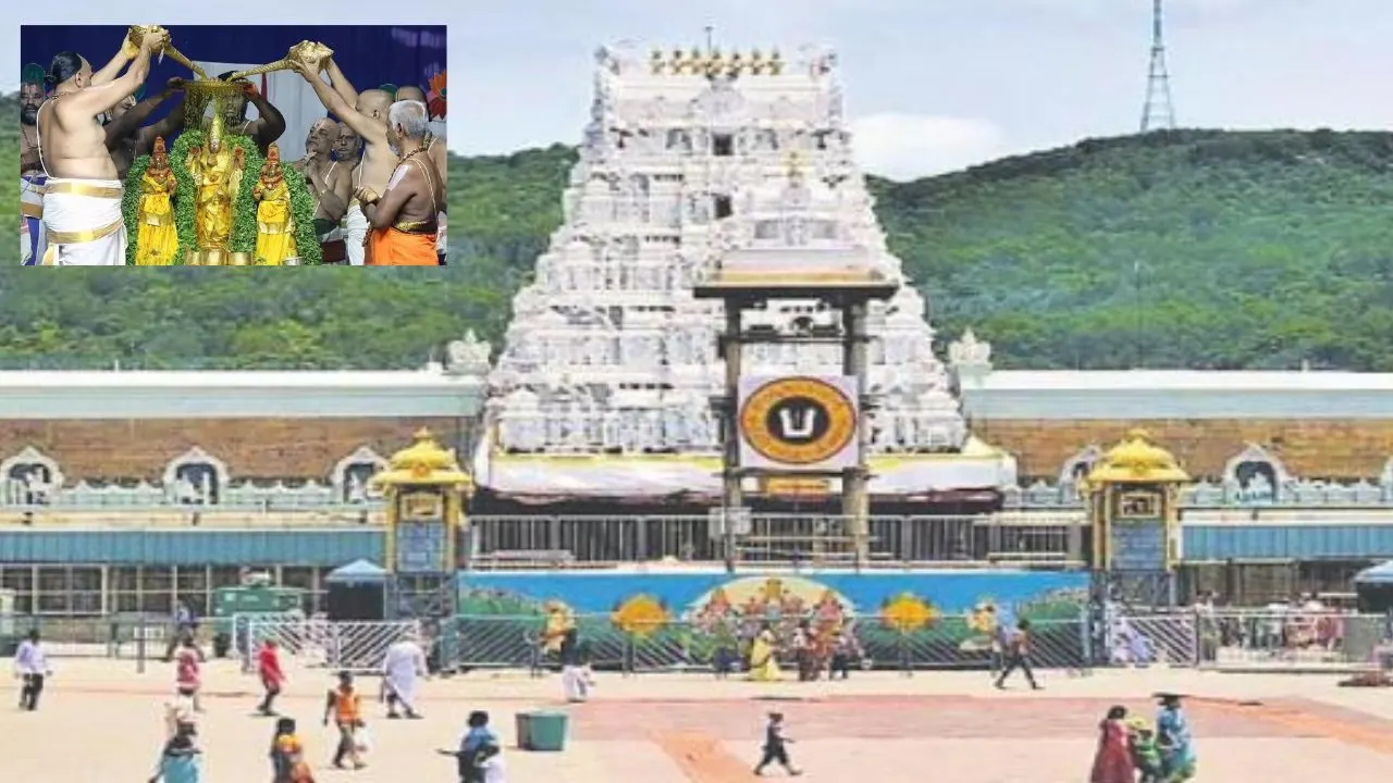 Tirumala Srivaru : ఆగస్టు 1న శ్రీవారి పవిత్రోత్సవాల టికెట్లు విడుదల Tirumala Srivaru : ఆగస్టు 1న శ్రీవారి పవిత్రోత్సవాల టికెట్లు విడుదల
