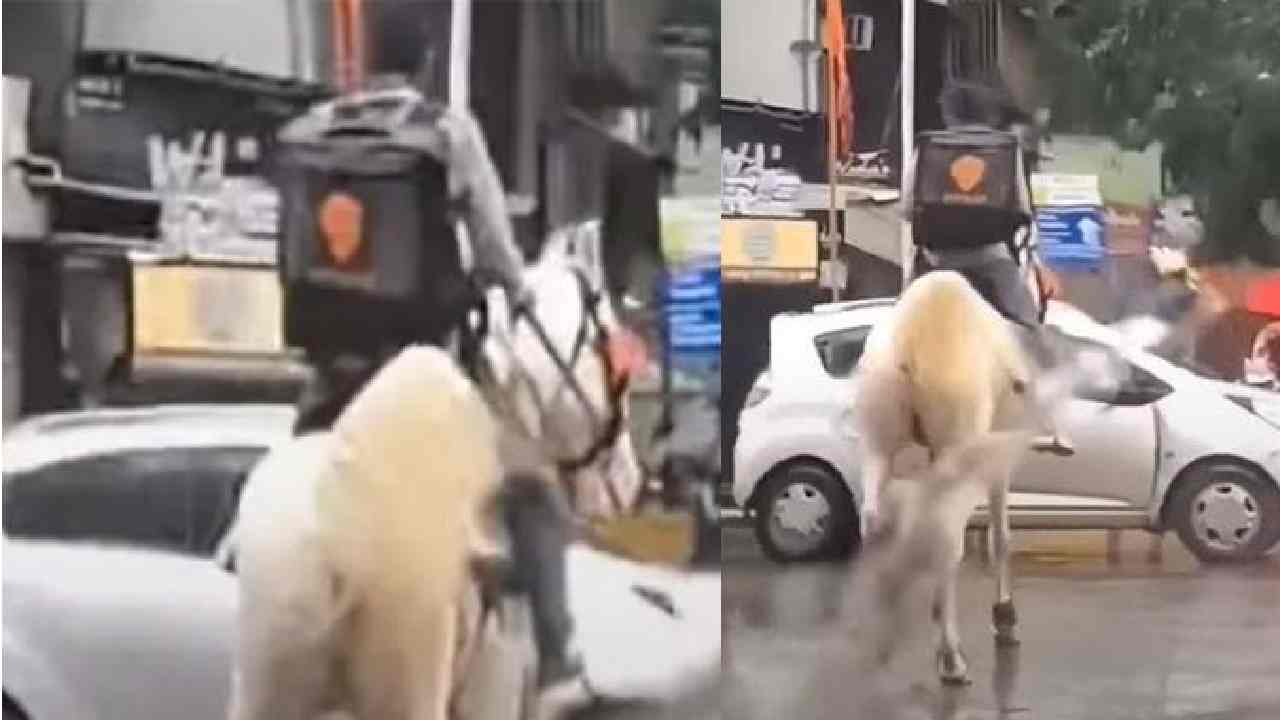 Viral Video : గుర్రంపై ఫుడ్ డెలివరీ చేసిన స్విగ్గీ డెలివరీ బాయ్ Viral Video : గుర్రంపై ఫుడ్ డెలివరీ చేసిన స్విగ్గీ డెలివరీ బాయ్