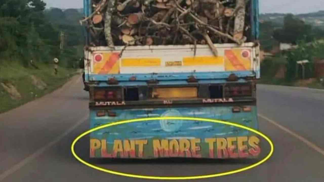 viral pic: ‘వ్యంగ్యం అంటే ఇదే’.. విపరీతంగా వైరల్ అవుతోన్న ఫొటో viral pic: ‘వ్యంగ్యం అంటే ఇదే’.. విపరీతంగా వైరల్ అవుతోన్న ఫొటో
