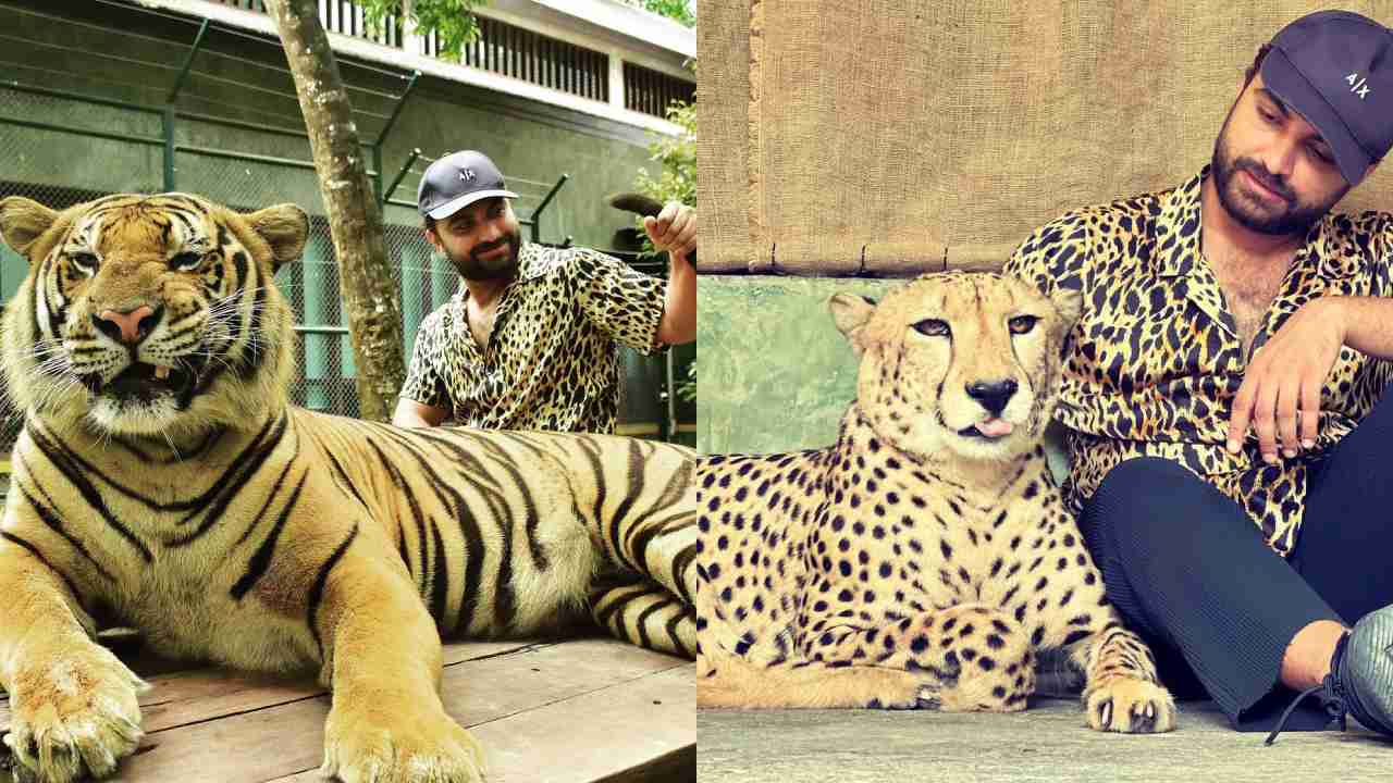 Vishwaksen : టైగర్స్‌తో మాస్ కా దాస్ విశ్వక్