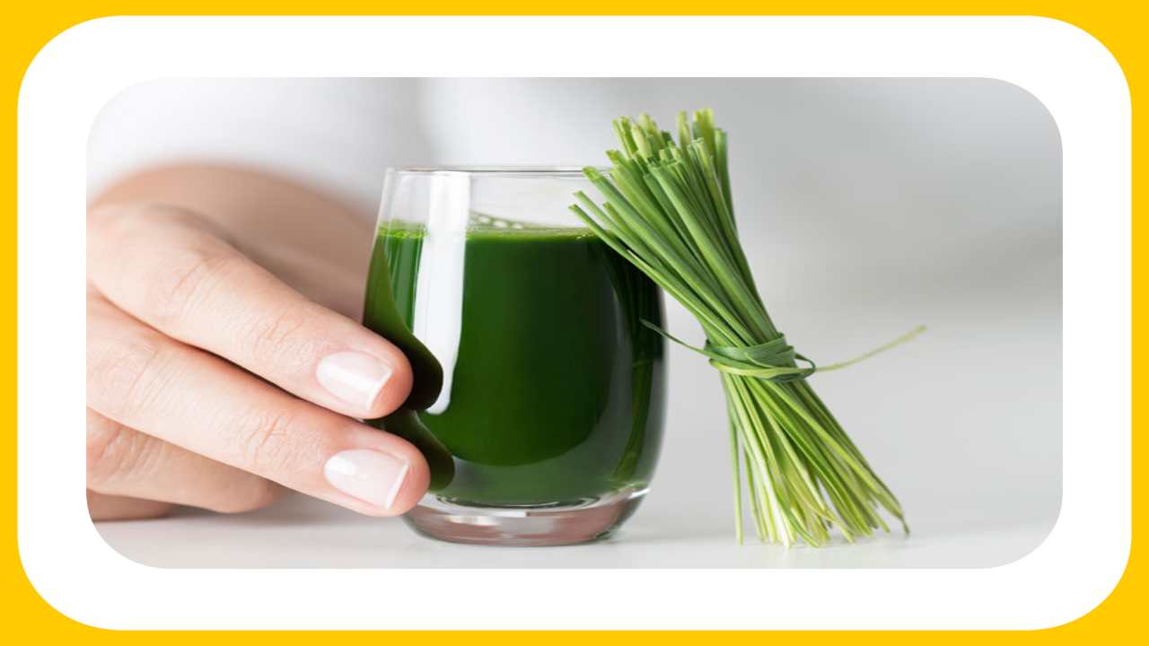 Wheat Grass Juice : క్యాన్సర్ కారక కణాలను నశింప చేసే గోధుమ గడ్డి జ్యూస్! Wheat Grass Juice : క్యాన్సర్ కారక కణాలను నశింప చేసే గోధుమ గడ్డి జ్యూస్!