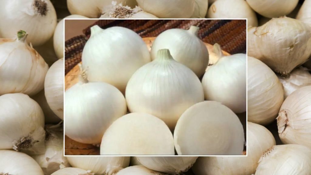 White Onion