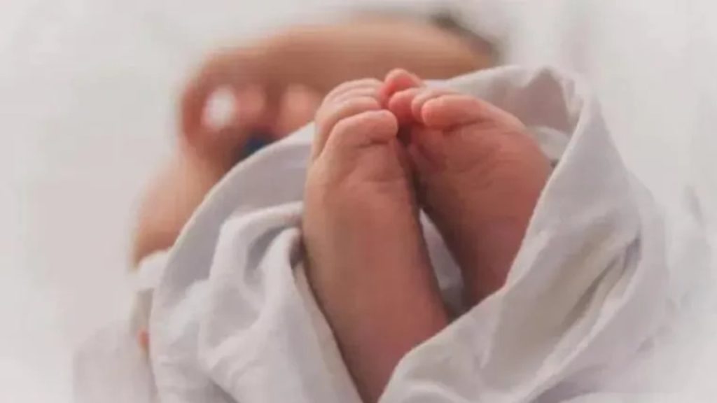 17 Fetuses Found Dumped :