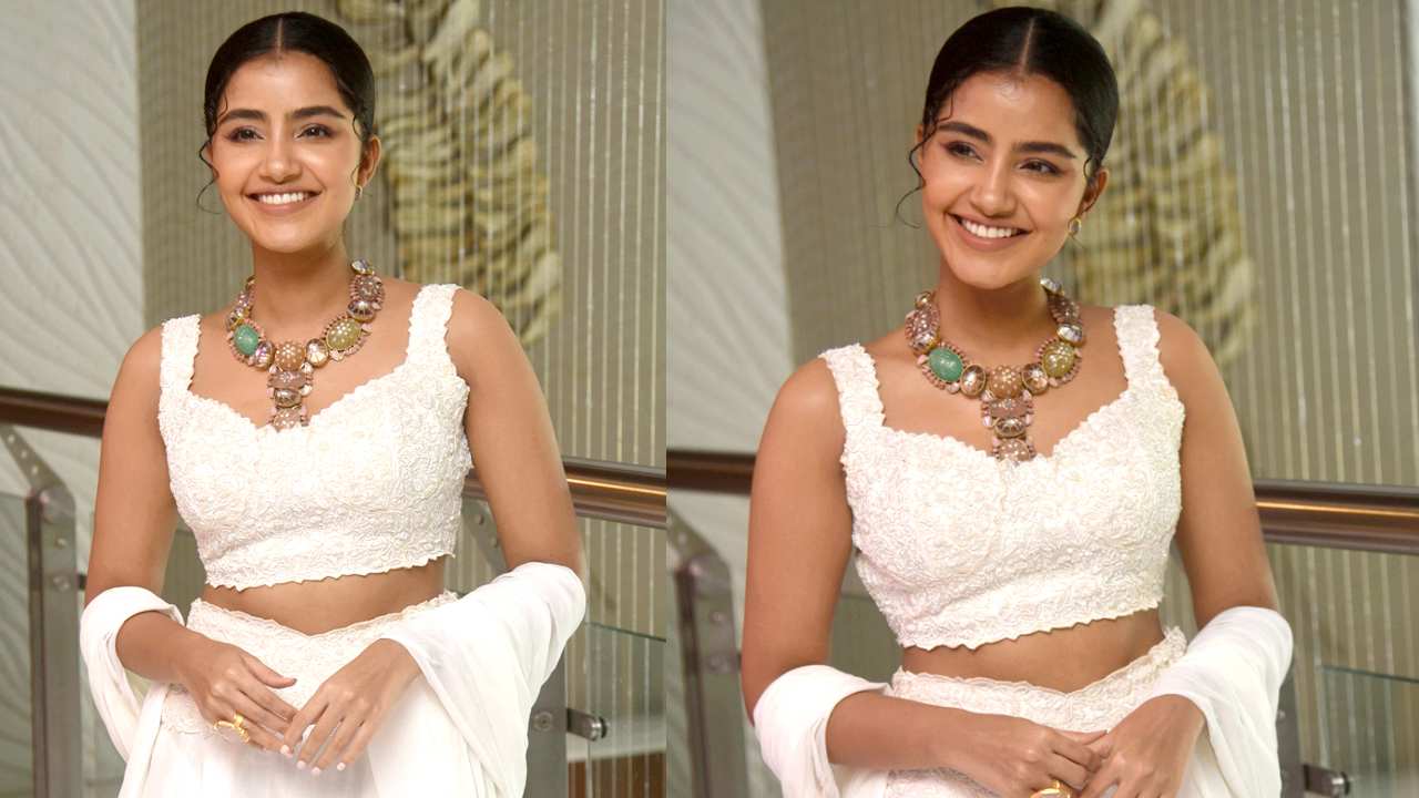 Anupama Parameswaran: కార్తికేయ-2 ప్రెస్ మీట్ కోసం ముస్తాబైన అందాల అనుపమ