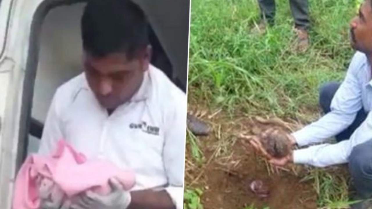 Baby Buried Alive: పొలంలో మట్టిలో కనిపించిన చిన్నారి చేయి.. తవ్వి చూస్తే.. Baby Buried Alive: పొలంలో మట్టిలో కనిపించిన చిన్నారి చేయి.. తవ్వి చూస్తే..