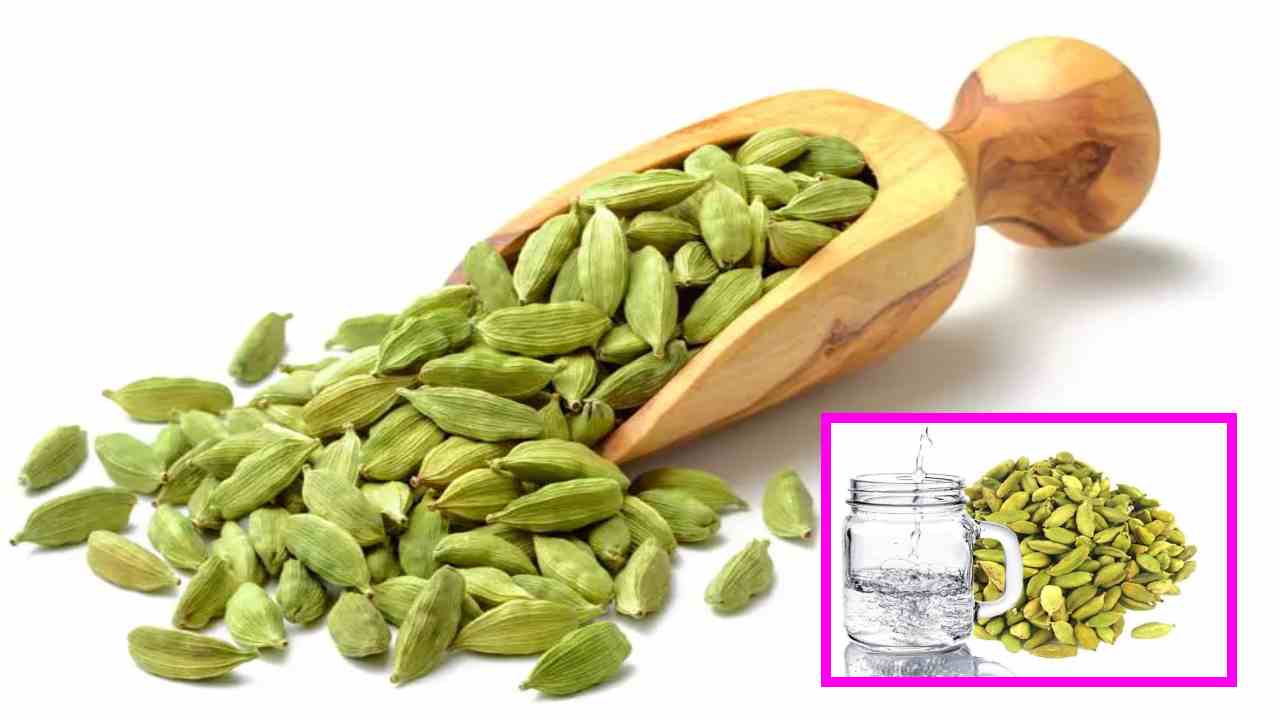 Cardamoms Health Benefits : రాత్రి నిద్రకు ముందు రెండు యాలకులు, గ్లాసు వేడి నీళ్లతో బోలేడు ప్రయోజనాలు! Cardamoms Health Benefits : రాత్రి నిద్రకు ముందు రెండు యాలకులు, గ్లాసు వేడి నీళ్లతో బోలేడు ప్రయోజనాలు!