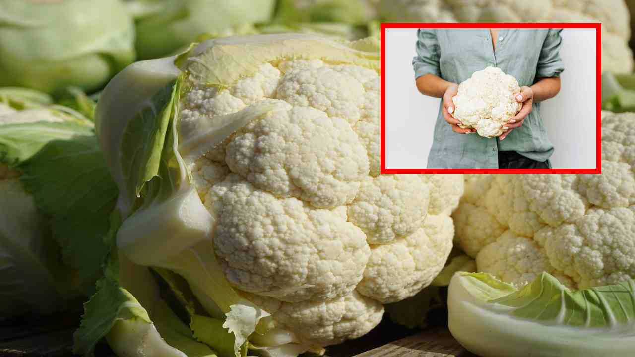 Cauliflower Health Benefits : కాలీఫ్లవర్ తినటం వల్ల కలిగే 8 ఆరోగ్య ప్రయోజనాలు! దీనిని ఎవరెవరు తినకూడదంటే? Cauliflower Health Benefits : కాలీఫ్లవర్ తినటం వల్ల కలిగే 8 ఆరోగ్య ప్రయోజనాలు! దీనిని ఎవరెవరు తినకూడదంటే?
