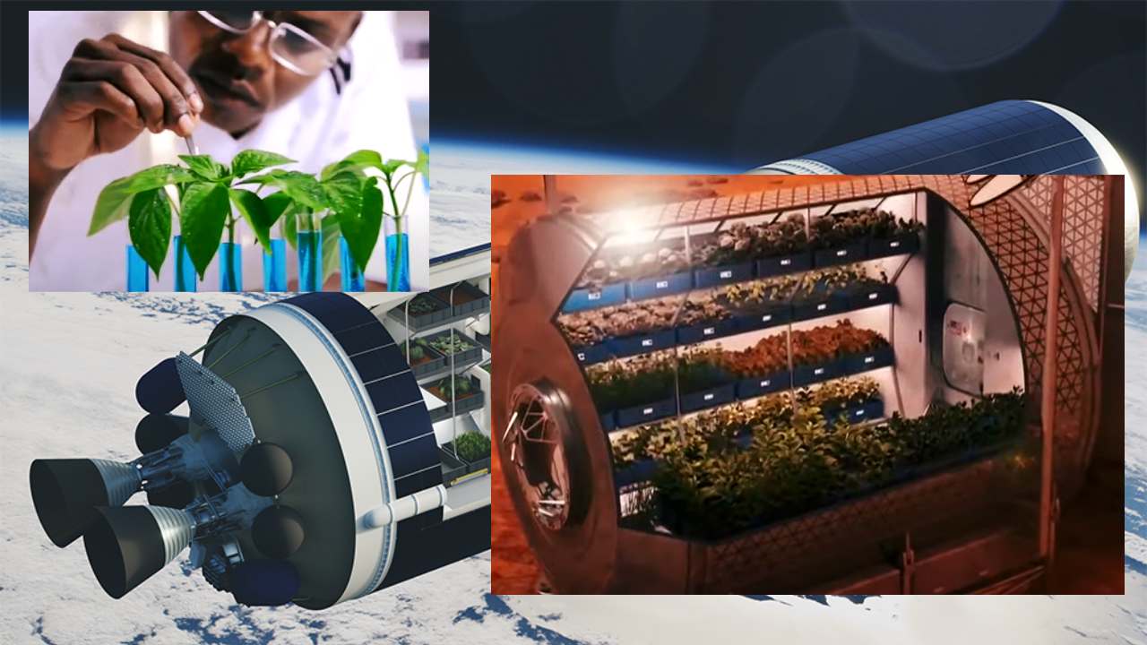 China Space Breeding : అంతరిక్షం నుంచి విత్తనాలు తెస్తున్న చైనా..పంట దిగుబడి భారీగా పెంచటానికి యత్నాలు China Space Breeding : అంతరిక్షం నుంచి విత్తనాలు తెస్తున్న చైనా..పంట దిగుబడి భారీగా పెంచటానికి యత్నాలు