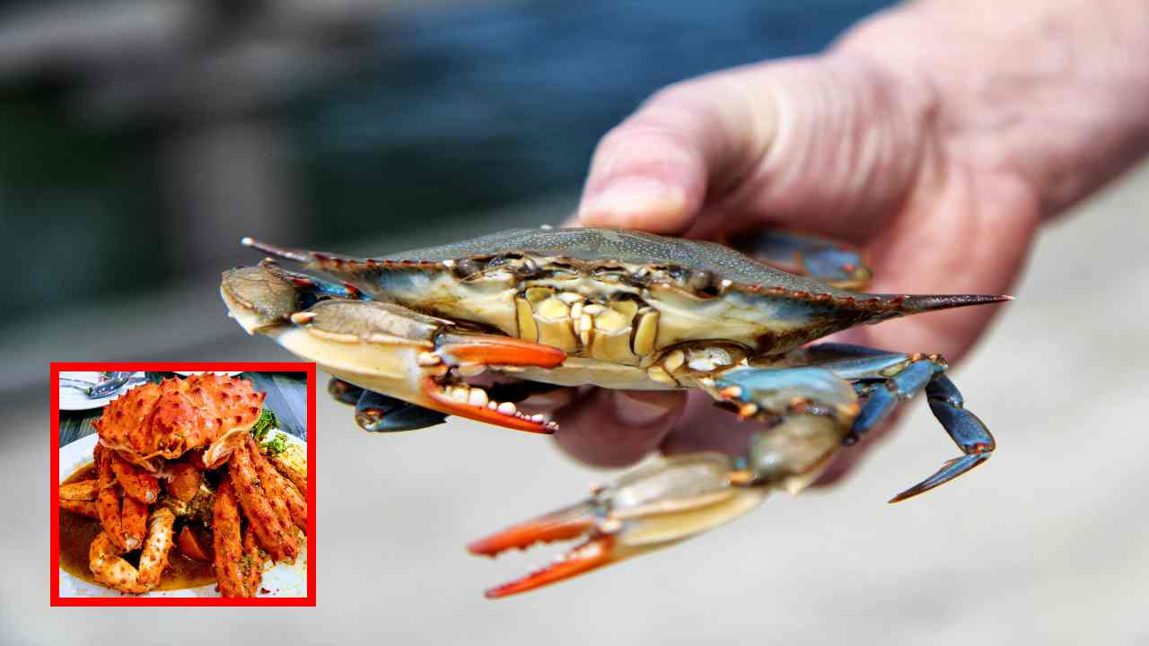 Health Benefits Of Crab రక్త హీనతను నివారించి, గుండె ఆరోగ్యాన్ని