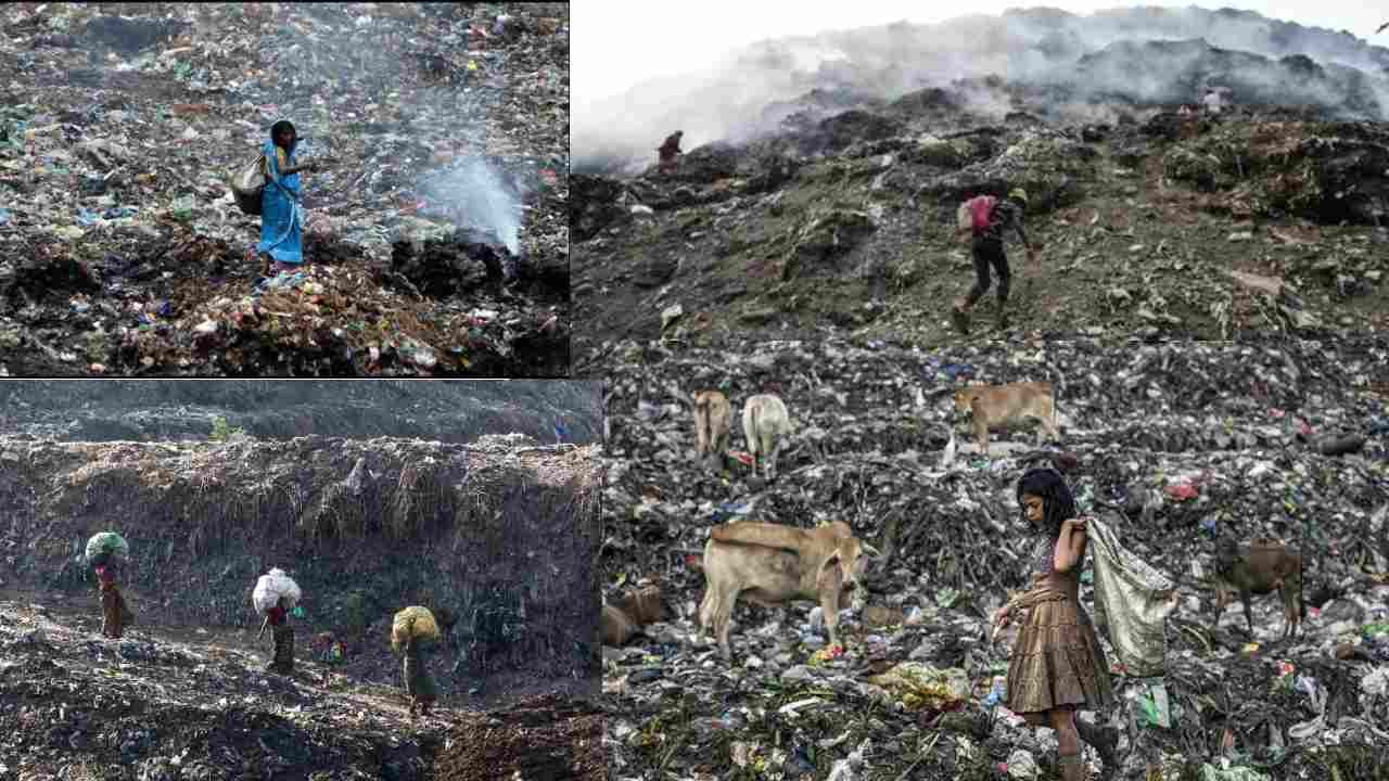 Delhi Garbage Mountains : ఢిల్లీ చుట్టూ 28 మిలియన్ టన్నుల చెత్త .. తొలగించటానికి 197 ఏళ్లు పడుతుందట! Delhi Garbage Mountains : ఢిల్లీ చుట్టూ 28 మిలియన్ టన్నుల చెత్త .. తొలగించటానికి 197 ఏళ్లు పడుతుందట!