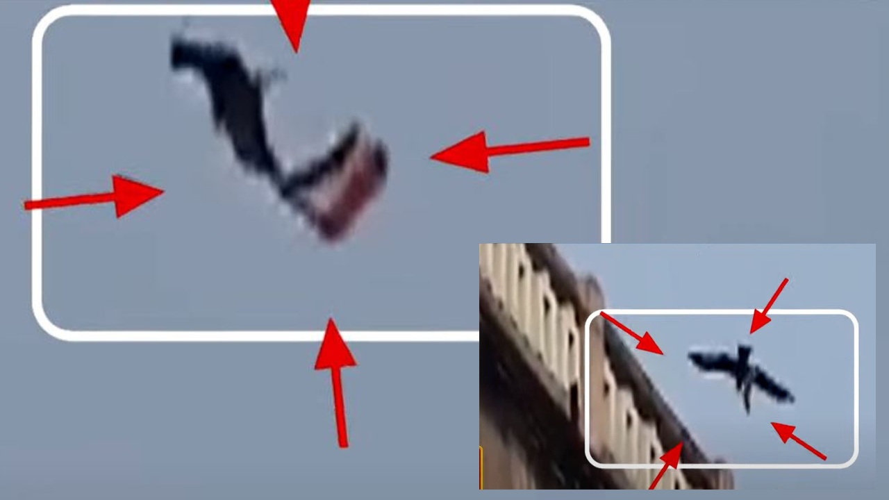 Eagle National Flag : జాతీయ పతాకాన్ని నోట కరచుకుని మానేరు డ్యామ్పై చక్కర్లు కొట్టిన గద్ద Eagle National Flag : జాతీయ పతాకాన్ని నోట కరచుకుని మానేరు డ్యామ్పై చక్కర్లు కొట్టిన గద్ద