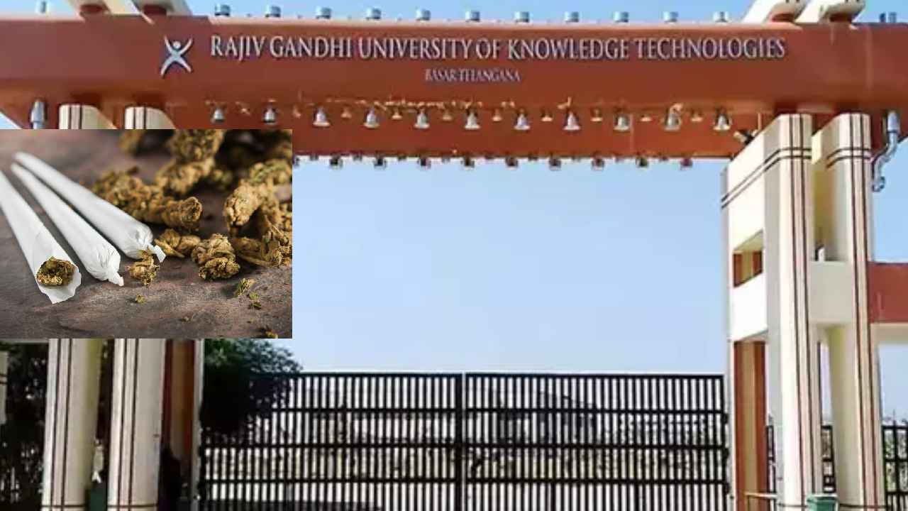 Ganja In Basara IIIT : బాసర ట్రిపుల్ ఐటీలో గంజాయి కలకలం.. పోలీసుల అదుపులో ఇద్దరు విద్యార్థులు Ganja In Basara IIIT : బాసర ట్రిపుల్ ఐటీలో గంజాయి కలకలం.. పోలీసుల అదుపులో ఇద్దరు విద్యార్థులు