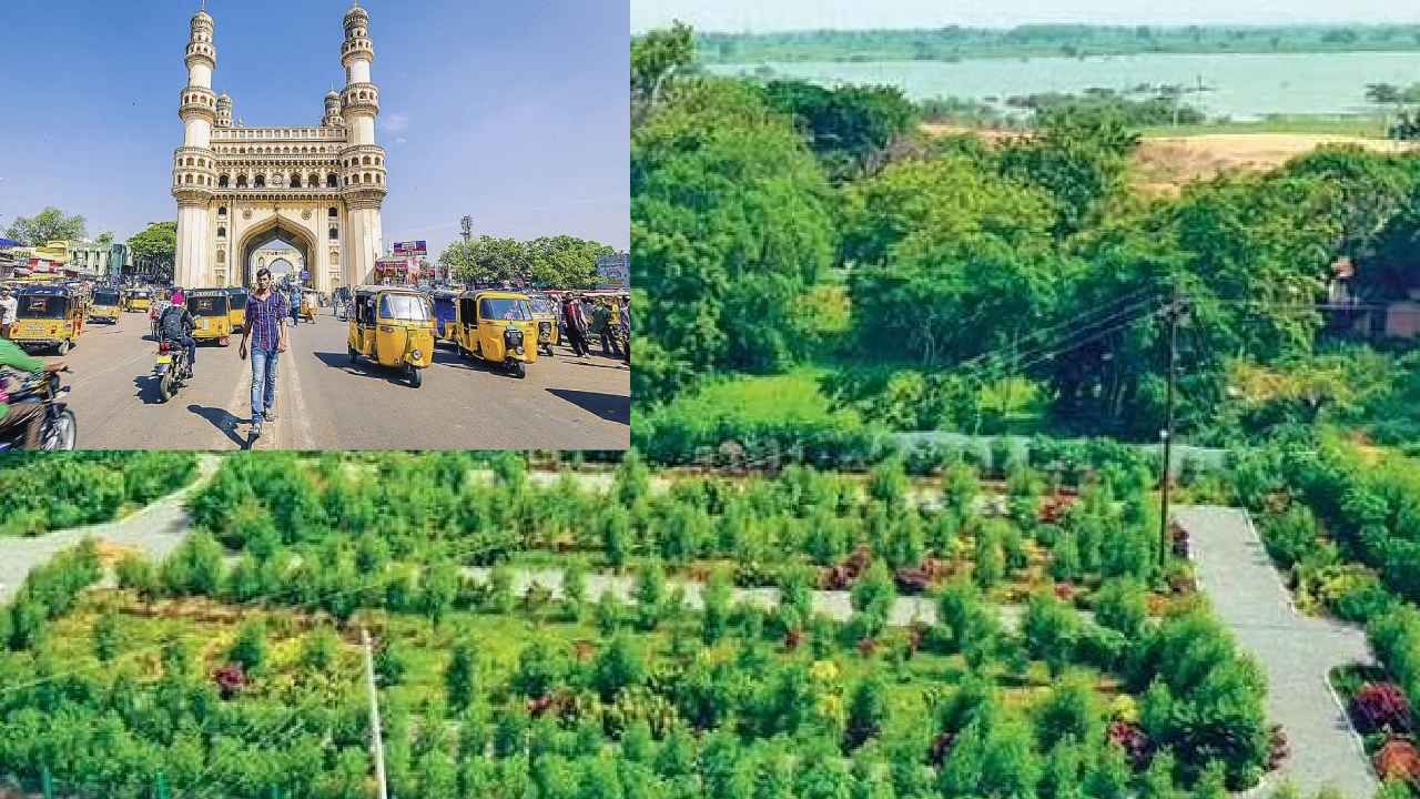 Hyderabad Greenery : గ్రీనరీకి కేరాఫ్గా హైదరాబాద్.. ఢిల్లీ, చెన్నై, బెంగళూరుతో పోలిస్తే పచ్చని వనంలా భాగ్యనగరం Hyderabad Greenery : గ్రీనరీకి కేరాఫ్గా హైదరాబాద్.. ఢిల్లీ, చెన్నై, బెంగళూరుతో పోలిస్తే పచ్చని వనంలా భాగ్యనగరం