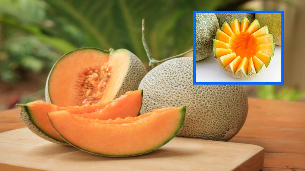 Kharbuja Benefits : ఒక్క పండుతో ఎన్నో ఆరోగ్య ప్రయోజనాలు! మలబద్ధకాన్ని నివారించటంతోపాటు, కంటి చూపును మెరుగుపరుచుకోవచ్చు Kharbuja Benefits : ఒక్క పండుతో ఎన్నో ఆరోగ్య ప్రయోజనాలు! మలబద్ధకాన్ని నివారించటంతోపాటు, కంటి చూపును మెరుగుపరుచుకోవచ్చు