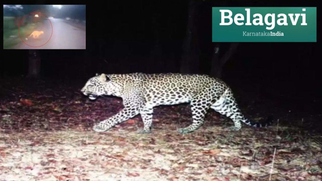 Leopard Tension In Karnataka