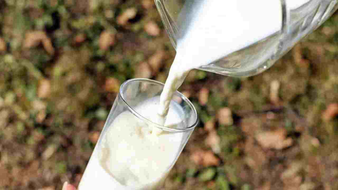 Amul, Mother Dairy Milk Prices Rise: పాల రేట్లు పెంచిన అమూల్, మదర్ డైయిరీ.. రేపటి నుంచి అమల్లోకి కొత్త ధరలు Amul, Mother Dairy Milk Prices Rise: పాల రేట్లు పెంచిన అమూల్, మదర్ డైయిరీ.. రేపటి నుంచి అమల్లోకి కొత్త ధరలు