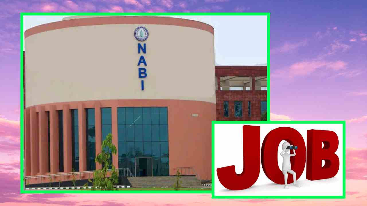 NABI Recruitment : నేషనల్ అగ్రి ఫుడ్ బయోటెక్నాలజీ ఇన్స్టిట్యూట్ లో ఉద్యోగ ఖాళీల భర్తీ NABI Recruitment : నేషనల్ అగ్రి ఫుడ్ బయోటెక్నాలజీ ఇన్స్టిట్యూట్ లో ఉద్యోగ ఖాళీల భర్తీ