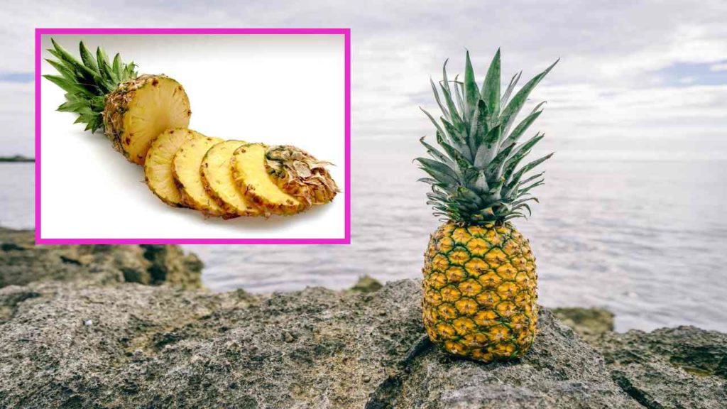 Pineapple