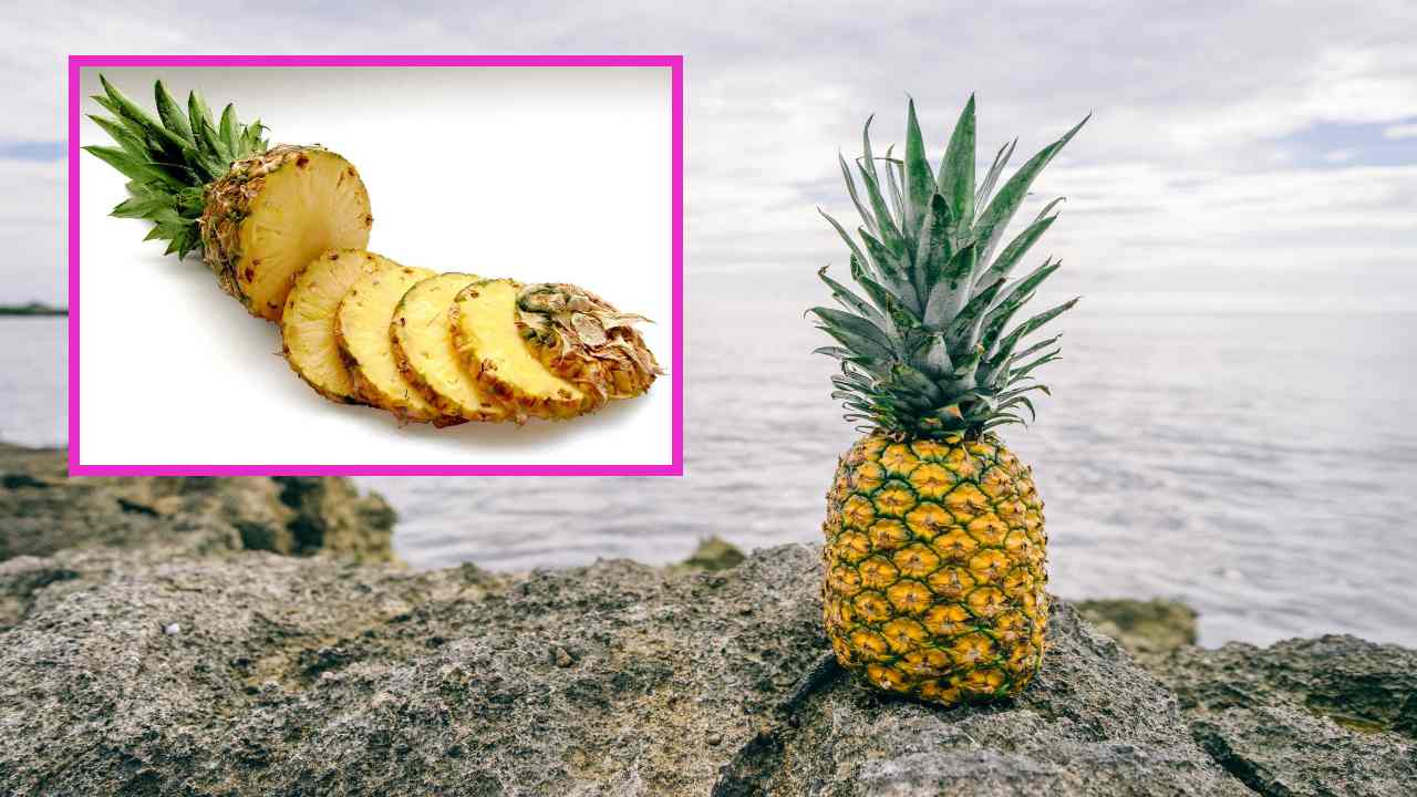 Benefits Of Pineapple : జీర్ణ సమస్యలు తొలగించి, కీళ్లనొప్పులు పోగొట్టే పైనాపిల్! Benefits Of Pineapple : జీర్ణ సమస్యలు తొలగించి, కీళ్లనొప్పులు పోగొట్టే పైనాపిల్!