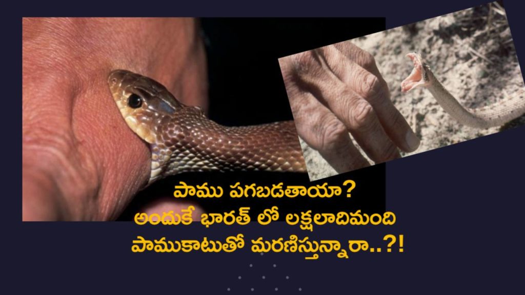 Snake Bites Deaths in India