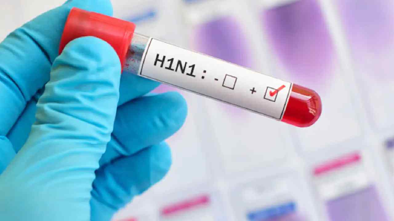 Swine flu: స్వైన్ ఫ్లూ కలకలం.. పెరుగుతున్న కేసులు.. ఝార్ఖండ్లో నలుగురికి పాజిటివ్ Swine flu: స్వైన్ ఫ్లూ కలకలం.. పెరుగుతున్న కేసులు.. ఝార్ఖండ్లో నలుగురికి పాజిటివ్
