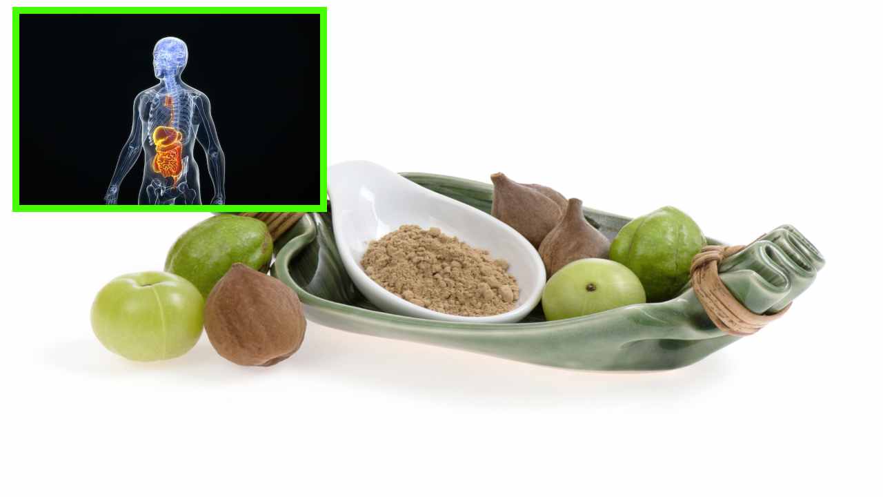Triphala Churnam : వాత,పిత్త, కఫా దోషాలను పోగొట్టే త్రిఫల చూర్ణం తయారీ ఎలాగంటే! Triphala Churnam : వాత,పిత్త, కఫా దోషాలను పోగొట్టే త్రిఫల చూర్ణం తయారీ ఎలాగంటే!