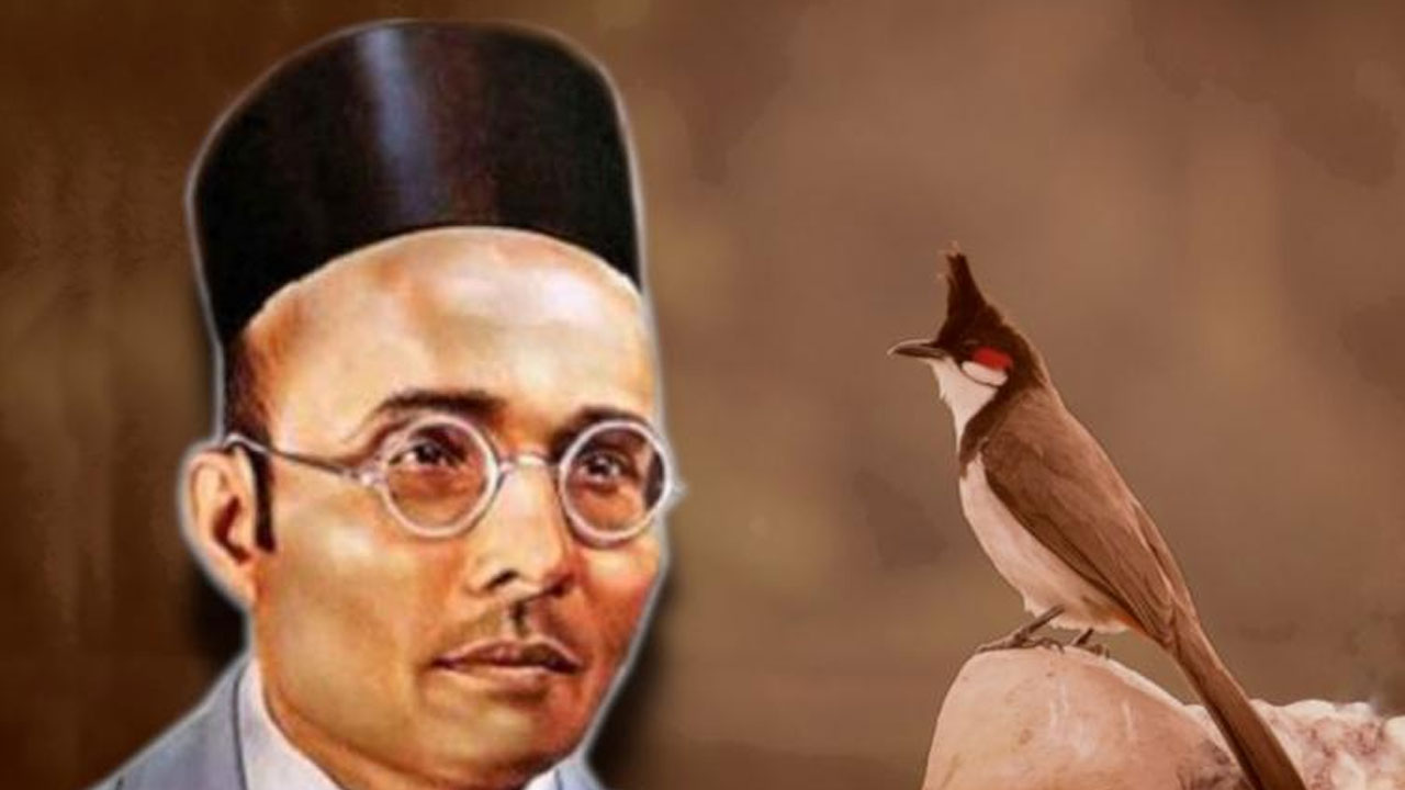 Class 8 Textbook: జైలు నుంచి బుల్బుల్ పిట్టలపై సావర్కర్ సవారీ.. కొత్త వివాదానికి తెరలేపిన 8వ తరగతి పాఠ్యపుస్తకం Class 8 Textbook: జైలు నుంచి బుల్బుల్ పిట్టలపై సావర్కర్ సవారీ.. కొత్త వివాదానికి తెరలేపిన 8వ తరగతి పాఠ్యపుస్తకం