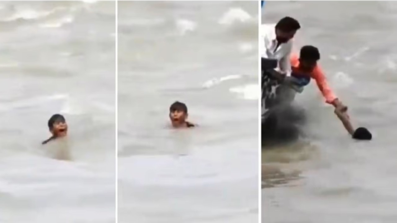 Viral video: మొసళ్ల మధ్య నదిలో పడిపోయిన బాలుడు.. ప్రాణభయంతో అరుపులు.. తర్వాత ఏం జరిగిందంటే.. Viral video: మొసళ్ల మధ్య నదిలో పడిపోయిన బాలుడు.. ప్రాణభయంతో అరుపులు.. తర్వాత ఏం జరిగిందంటే..