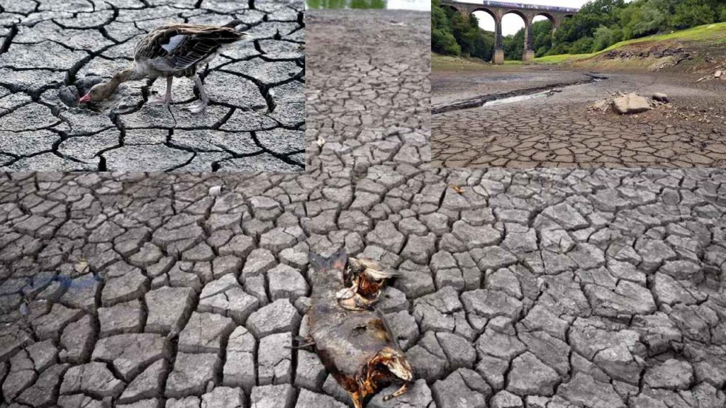 Worst Drought In Europe