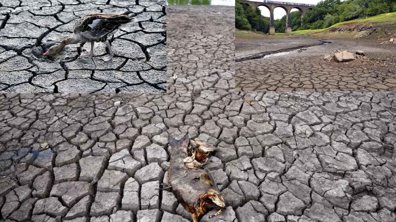 Worst Drought In Europe: మండిపోతున్న ఎండలు, ఎండుతున్న నదులు.. ఎన్నడూ లేని విధంగా యూరప్లో కరువు విలయతాండవం Worst Drought In Europe: మండిపోతున్న ఎండలు, ఎండుతున్న నదులు.. ఎన్నడూ లేని విధంగా యూరప్లో కరువు విలయతాండవం
