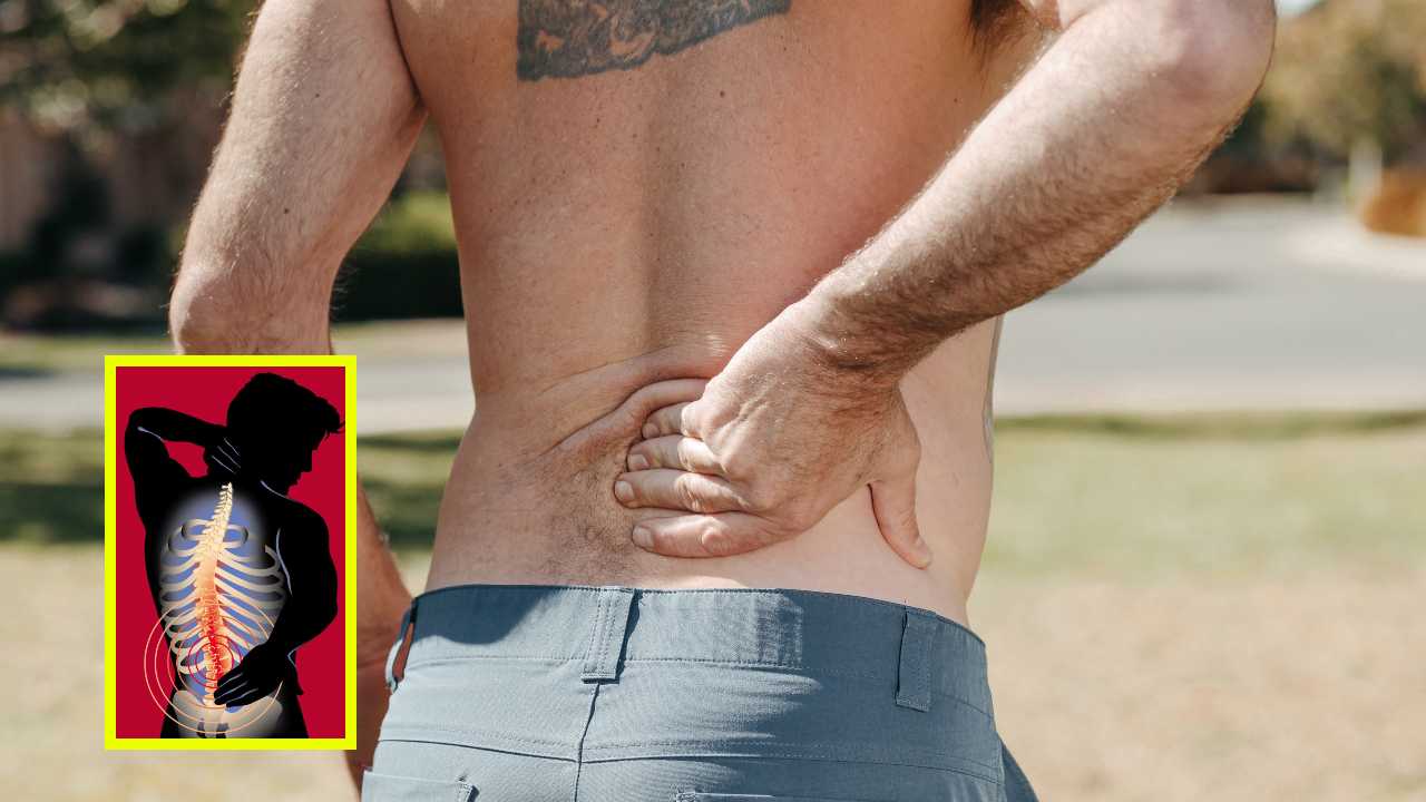 Back Pain : వెన్నునొప్పి బాధిస్తుంటే ఉపశమనం కోసం పాటించాల్సిన జాగ్రత్తలు! Back Pain : వెన్నునొప్పి బాధిస్తుంటే ఉపశమనం కోసం పాటించాల్సిన జాగ్రత్తలు!