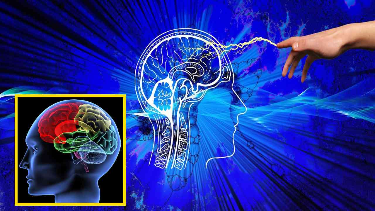 Brain : జ్ఞాపక శక్తి పెరగటంతోపాటు మెదడు చురుకుగా పనిచేసేందుకు! Brain : జ్ఞాపక శక్తి పెరగటంతోపాటు మెదడు చురుకుగా పనిచేసేందుకు!