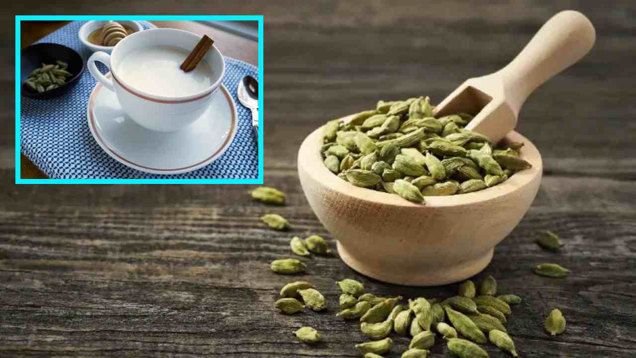 Cardamom Milk : గుండె ఆరోగ్యానికి, నిద్రలేమి సమస్యకు రోజుకు ఒక్క గ్లాసు యాలకుల పాలు చాలు! Cardamom Milk : గుండె ఆరోగ్యానికి, నిద్రలేమి సమస్యకు రోజుకు ఒక్క గ్లాసు యాలకుల పాలు చాలు!