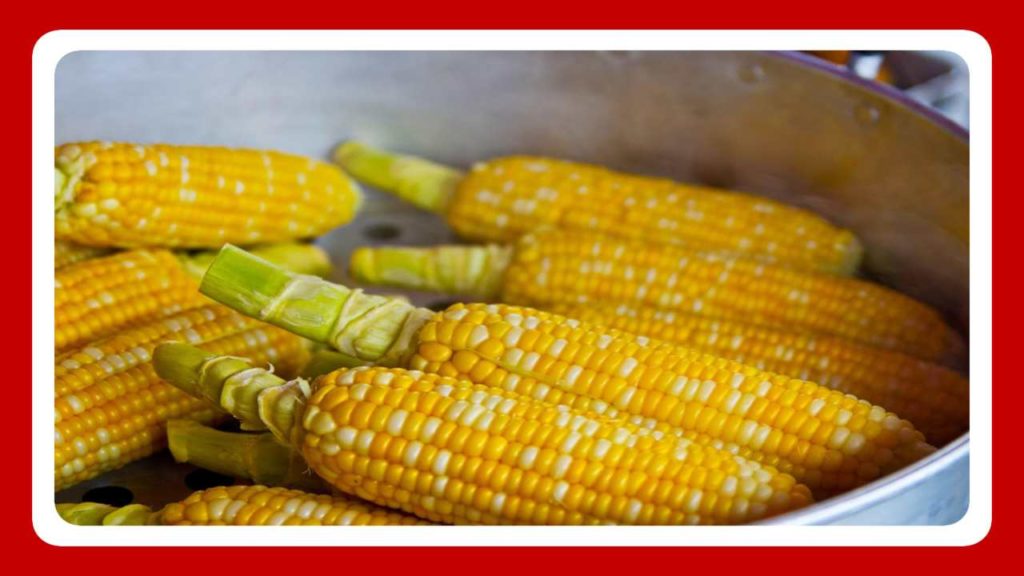corn improves blood circulation