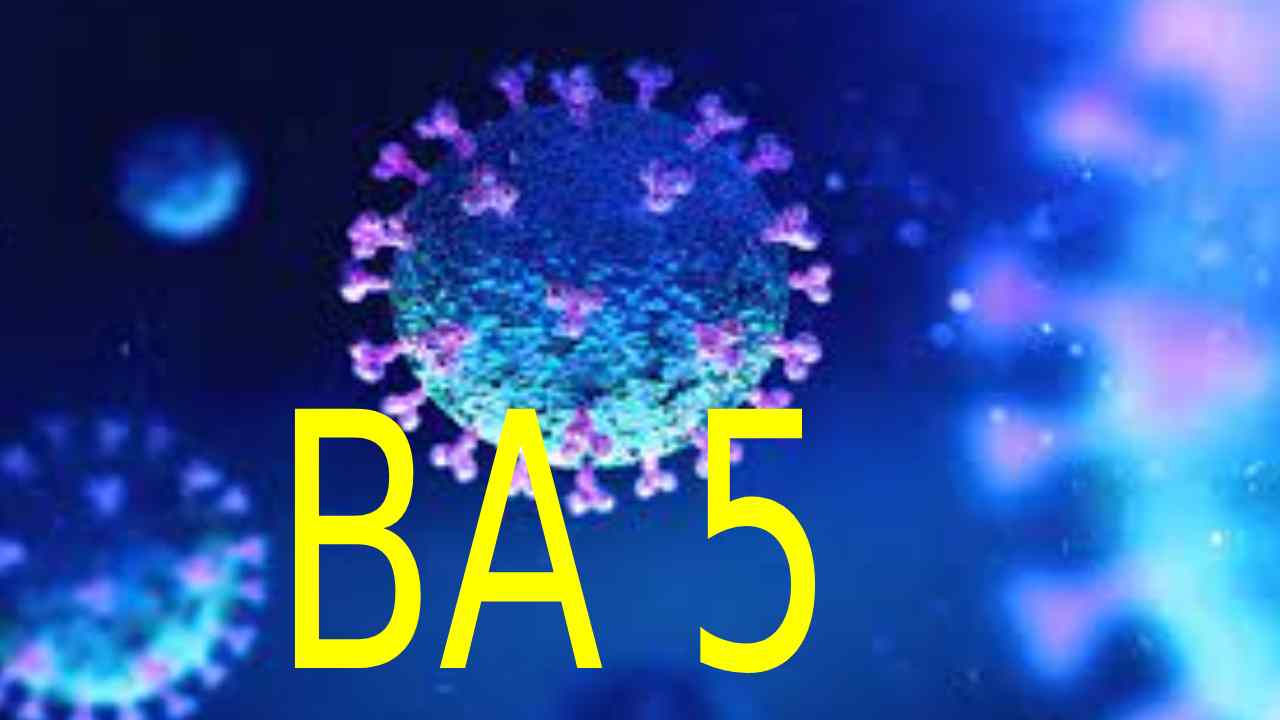 Covid BA 5 : కోవిడ్ బీఏ 5 వేరియంట్ తో ముప్పు-భారత్ బయోటెక్ సీఎండీ Covid BA 5 : కోవిడ్ బీఏ 5 వేరియంట్ తో ముప్పు-భారత్ బయోటెక్ సీఎండీ