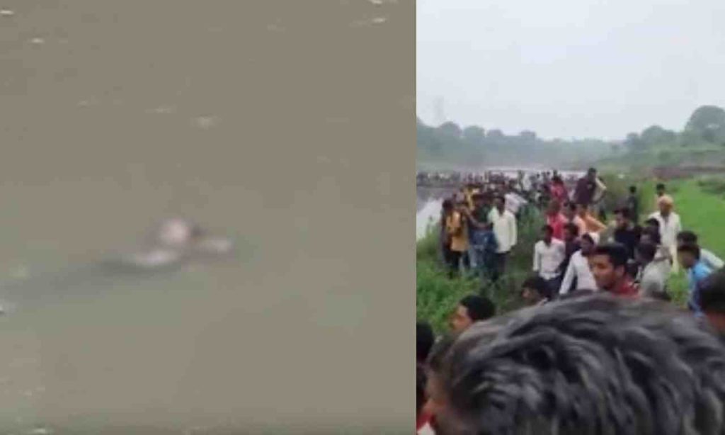 Gujarat: Huge crocodile spotted gnawing man's body in Dhadhar river, video goes viral crocodile gnawing man's body: యువకుడిని నీటిలోకి ఈడ్చుకువెళ్ళి కొరికి చంపిన మొసలి crocodile gnawing man's body