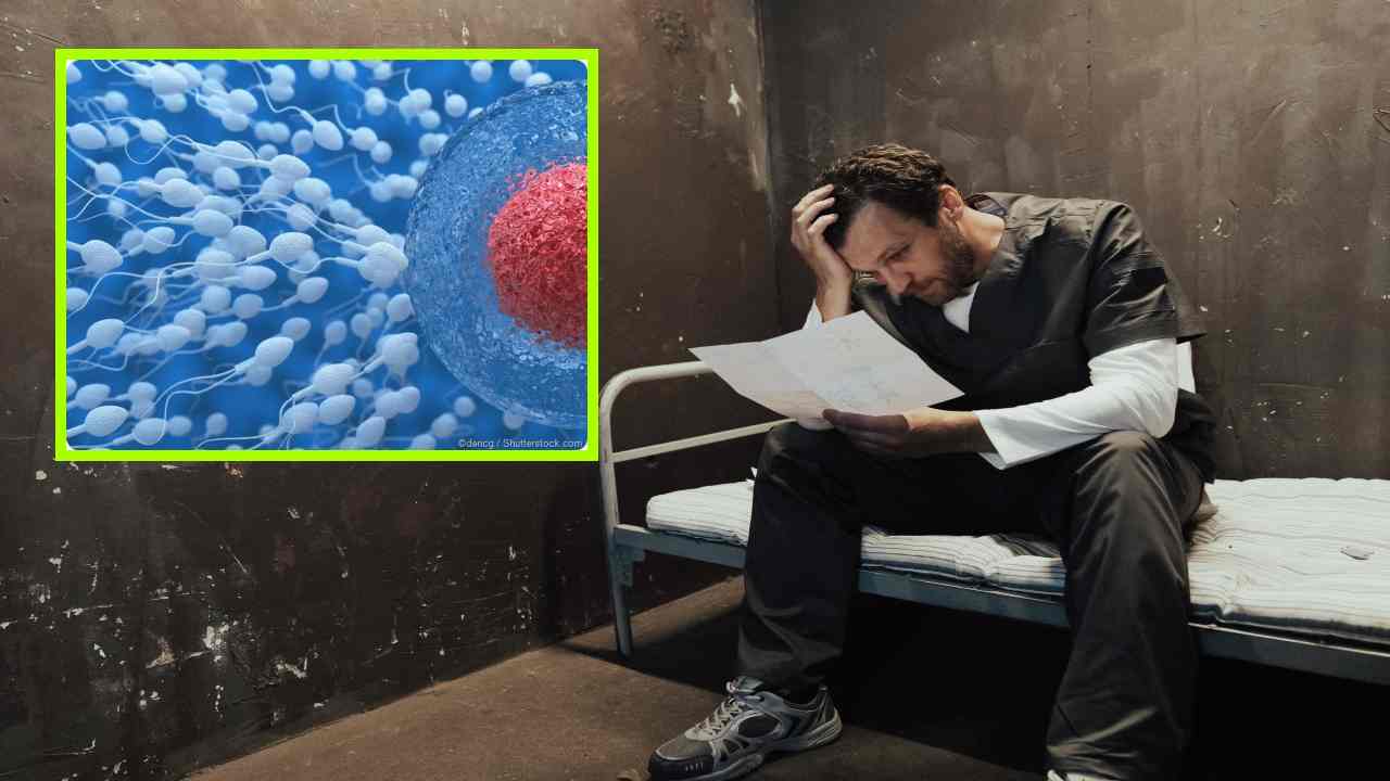 Sperm Cells : పురుషులలో వీర్యకణాల సంఖ్య తగ్గిపోవటానికి కారణాలు అనేకం! Sperm Cells : పురుషులలో వీర్యకణాల సంఖ్య తగ్గిపోవటానికి కారణాలు అనేకం!