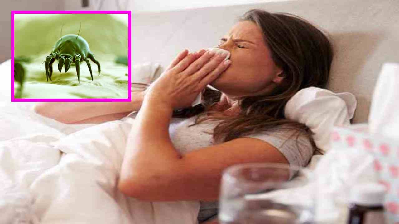 Dust Allergy : దుమ్ము,ధూళీ డస్ట్ అలర్జీకి కారణమా?డస్ట్ అలర్జీ సమస్యను అదిగమించేందుకు ఇంటి చిట్కాలు Dust Allergy : దుమ్ము,ధూళీ డస్ట్ అలర్జీకి కారణమా?డస్ట్ అలర్జీ సమస్యను అదిగమించేందుకు ఇంటి చిట్కాలు