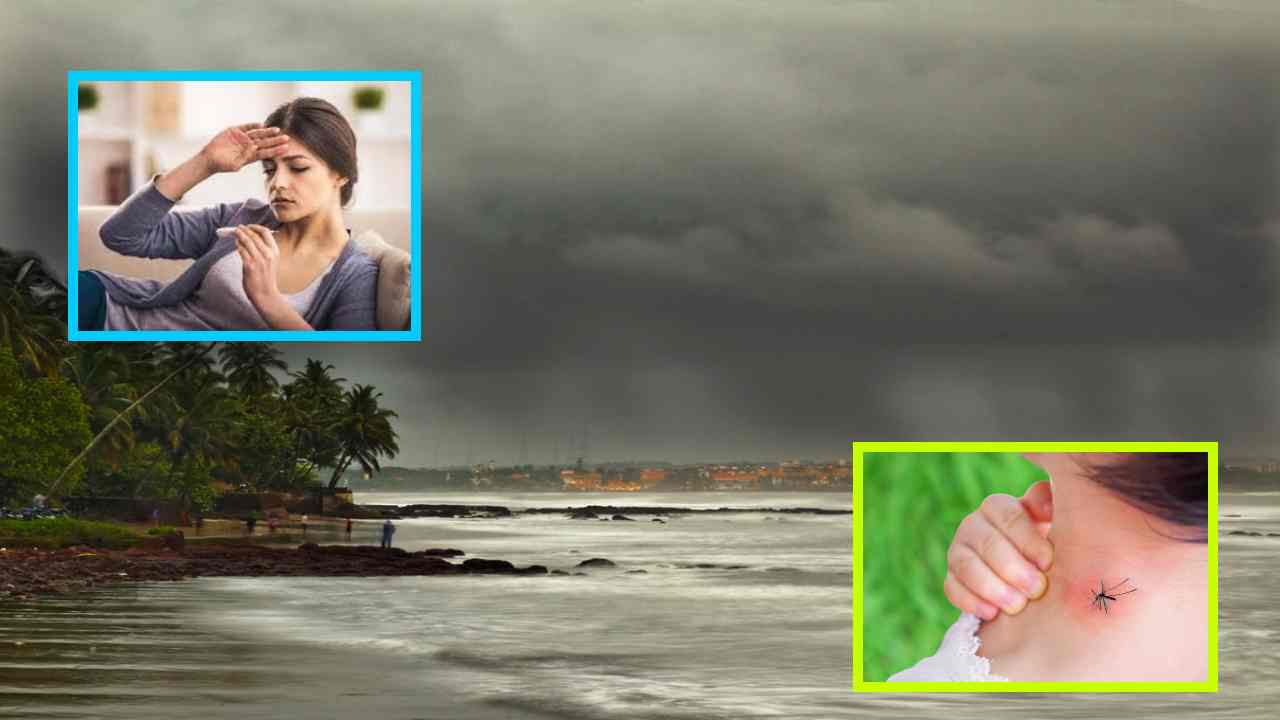 Fever Season : జ్వరాల కాలం వర్షకాలం! జాగ్రత్తలే రక్షణ Fever Season : జ్వరాల కాలం వర్షకాలం! జాగ్రత్తలే రక్షణ