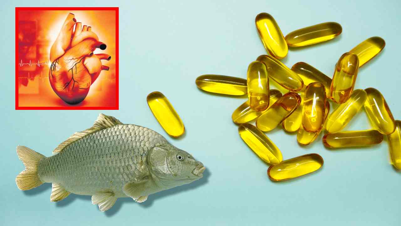 Fish Oil Prevent Heart Attacks : చేప నూనెతో గుండెకు మేలు! వారానికి రెండు సార్లు చేపలు తింటే గుండెపోటు ముప్పు తప్పినట్లే? Fish Oil Prevent Heart Attacks : చేప నూనెతో గుండెకు మేలు! వారానికి రెండు సార్లు చేపలు తింటే గుండెపోటు ముప్పు తప్పినట్లే?