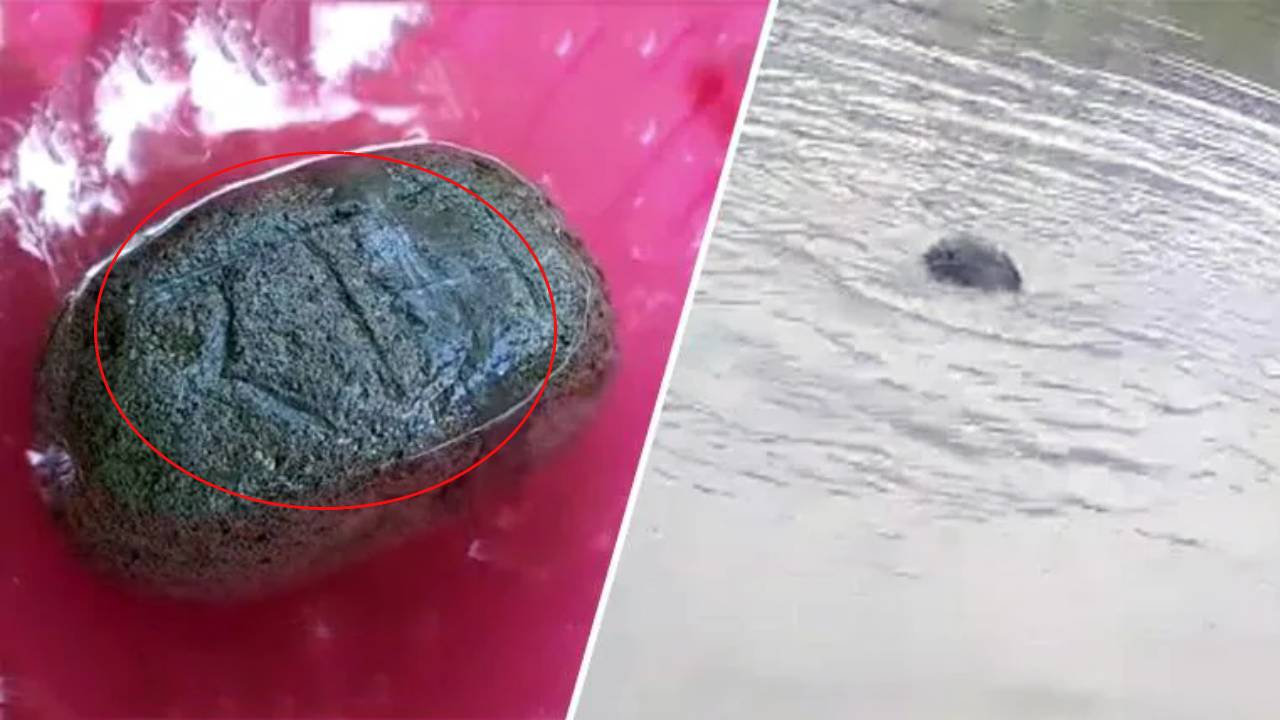 ‘Ram Setu’stone : నదిలో తేలుతున్న ‘రామ్’అనే అక్షరాలున్న పెద్ద ‘రాయి’ ‘Ram Setu’stone : నదిలో తేలుతున్న ‘రామ్’అనే అక్షరాలున్న పెద్ద ‘రాయి’