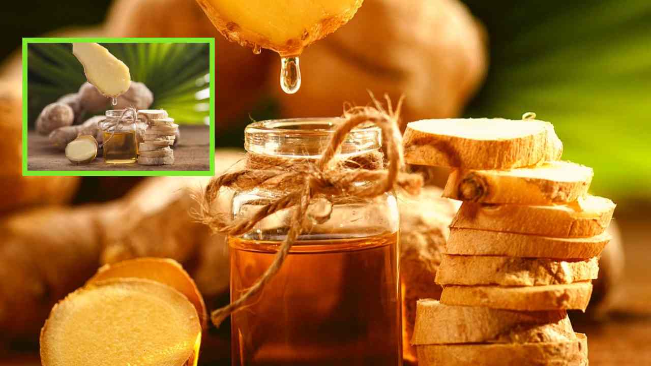 Ginger Oil Benefits : అల్లం అయిల్ తో ఆరోగ్యానికి ఎంతో మేలు! బరువు తగ్గించటంతోపాటు మరెన్నో ప్రయోజనాలు Ginger Oil Benefits : అల్లం అయిల్ తో ఆరోగ్యానికి ఎంతో మేలు! బరువు తగ్గించటంతోపాటు మరెన్నో ప్రయోజనాలు