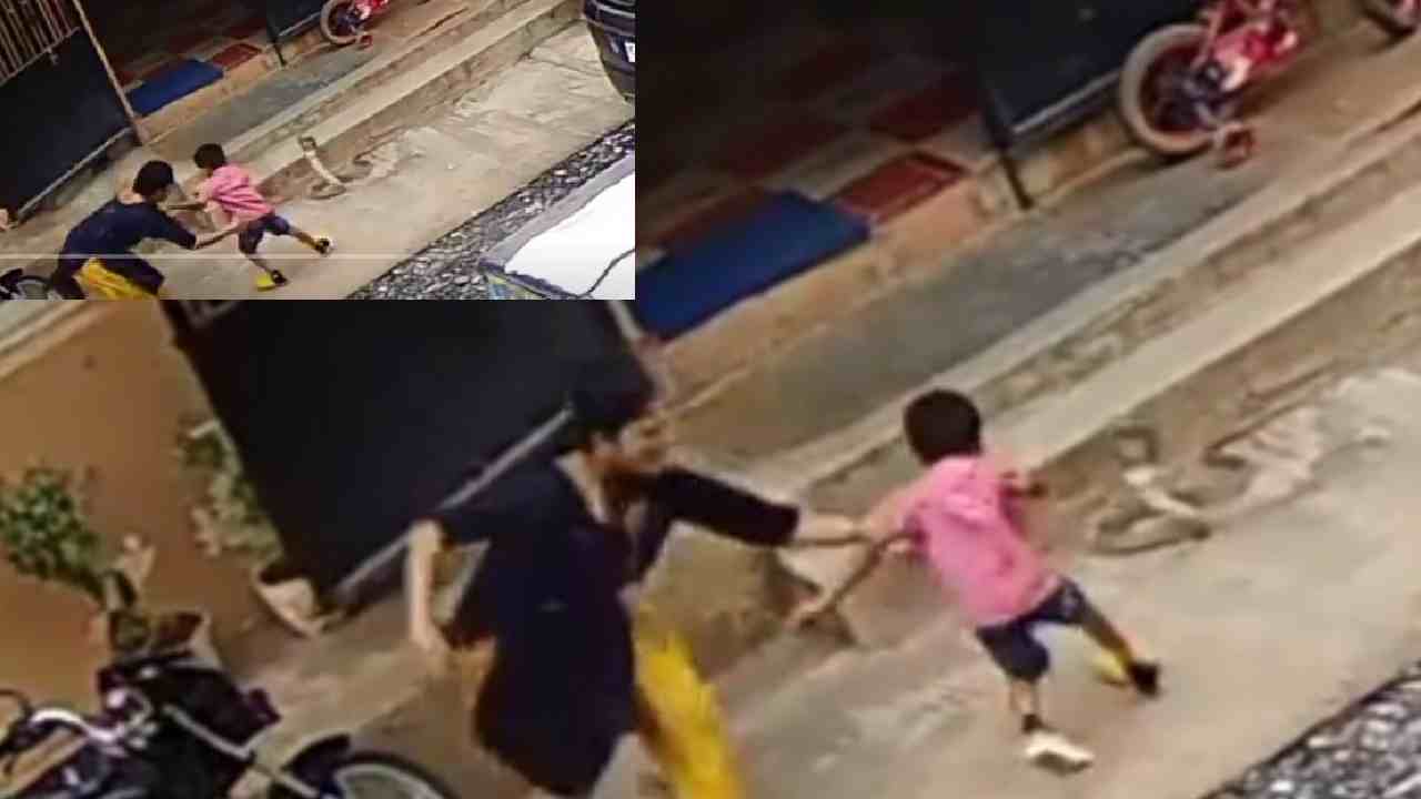 Viral Video: పాముపై అడుగు వేయబోయిన బాలుడు.. మెరుపువేగంతో స్పందించి ప్రాణాలు కాపాడిన అమ్మ Viral Video: పాముపై అడుగు వేయబోయిన బాలుడు.. మెరుపువేగంతో స్పందించి ప్రాణాలు కాపాడిన అమ్మ