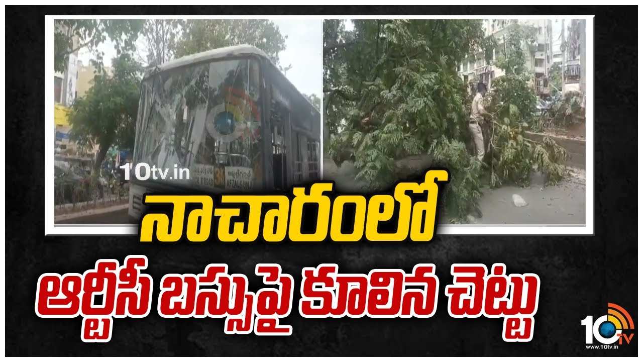 నాచారంలో ఆర్టీసీ బస్సు‎పై కూలిన చెట్టు
